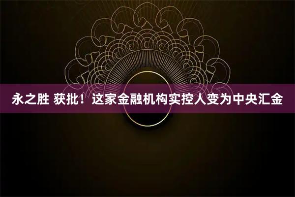 永之胜 获批！这家金融机构实控人变为中央汇金