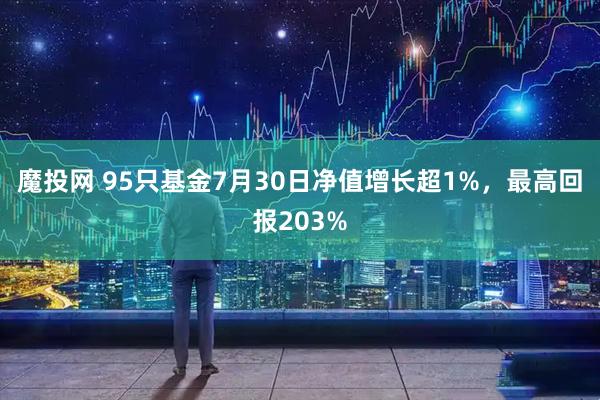 魔投网 95只基金7月30日净值增长超1%，最高回报203%