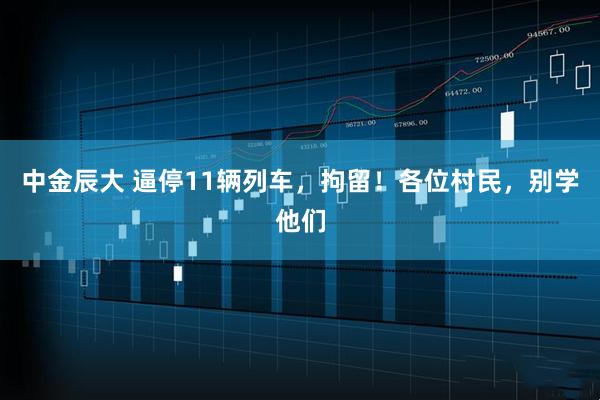 中金辰大 逼停11辆列车，拘留！各位村民，别学他们