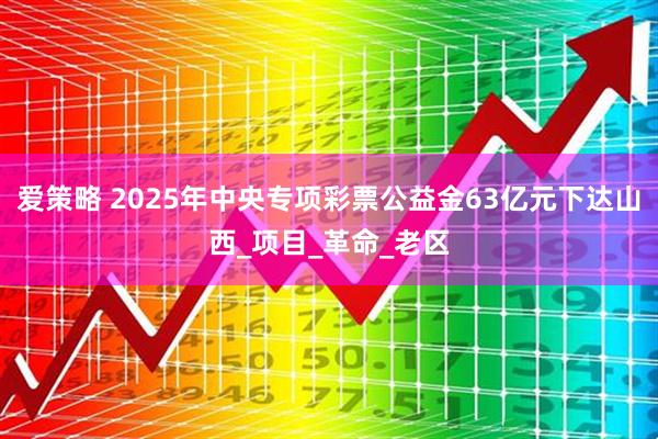 爱策略 2025年中央专项彩票公益金63亿元下达山西_项目_革命_老区